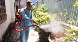 Ca nhiễm virus Zika làm thai phụ sợ hãi: Đà Nẵng giám sát chặt khu vực gây bệnh