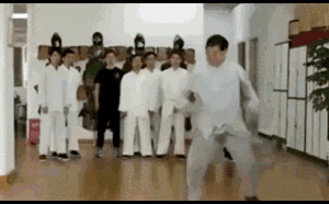 Võ sinh Anh thất vọng với võ công thật của sư phụ Trung Quốc