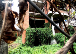 Những căn biệt thự triệu đô 'đắp chiếu' hàng chục năm của Hà Đô tại TP.HCM