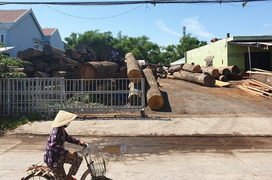 Xưởng mộc ‘tra tấn’ bầu không khí, cô giáo mầm non kêu trời