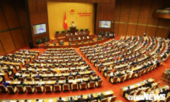 TRỰC TIẾP: Quốc hội thảo luận phòng, chống xâm hại trẻ em