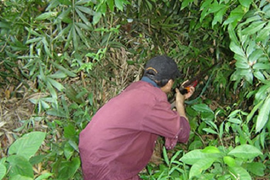 Những cái chết thảm do lạc đạn khi săn thú rừng