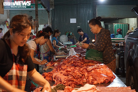 Giá lợn hơi tăng phi mã, tiểu thương càng bán càng lỗ