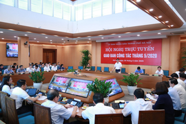 Chủ tịch Hà Nội yêu cầu rà soát, cắt tỉa toàn bộ cây xanh trong trường học