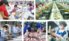 EVFTA buộc các doanh nghiệp phải 'lột xác' 