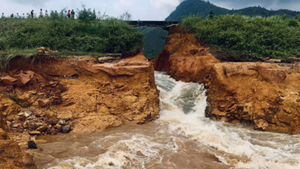 Vỡ đập Đầm Thìn chứa 600.000 m3 nước ở Phú Thọ: Do chuột đục, mối làm tổ?