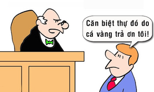 Mua được biệt thự nhờ cứu cá vàng