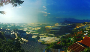 Có một Đà Lạt mộng mị đến thế!