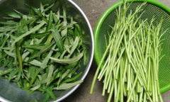 Nhặt rau muống thế này thì còn 'ế bền vững'