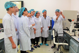 Học phí 70-88 triệu đồng/năm, học sinh nghèo từ bỏ ước mơ vào trường Y