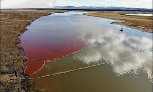 Tổng thống Putin ban bố tình trạng khẩn cấp quốc gia sau sự cố tràn dầu