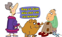 Chó trụi lông khiến quý bà mất 300 đô la