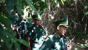 Cận cảnh truy bắt tội phạm vượt ngục nguy hiểm trong rừng Hải Vân