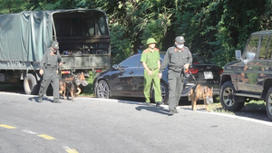 Tù vượt ngục nghi trốn trên đèo Hải Vân: Dùng flycam để tìm vị trí ẩn nấp