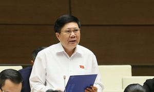 'Chỉ lên TV mới mua được thịt lợn giá rẻ': Đại biểu Quốc hội bức xúc