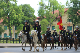 Bộ trưởng Công an: Sẽ dùng giống ngựa Bắc Hà để phát triển lực lượng kỵ binh
