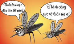 Niềm tự hào của muỗi cái