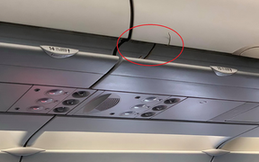 Hành khách mang rắn lên máy bay