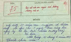 Hiệu trưởng tiến thoái lưỡng nan vì bài văn của học trò