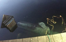 Mỹ: Người biểu tình giận dữ kéo đổ tượng nhà thám hiểm Christopher Columbus