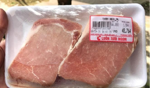 5 tháng, Việt Nam nhập khẩu hơn 70.000 tấn thịt lợn