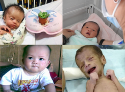 Bị bỏ rơi ở nghĩa địa, vườn hoang, nhiều bé sơ sinh sống sót kỳ diệu