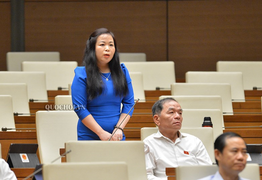 Đề xuất giảm 30% thuế thu nhập cho doanh nghiệp: ĐBQH lo trục lợi chính sách 