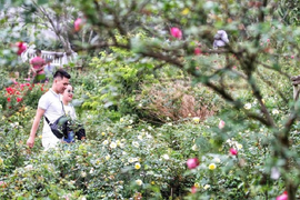 Kích cầu du lịch vùng Tây Bắc, vực dậy thị trường sau đại dịch