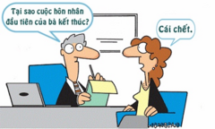 Khi luật sư 'hỏi ngu'