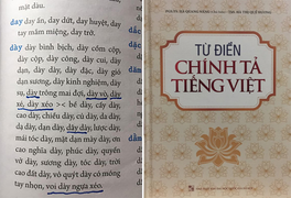 Từ điển chính tả viết sai chính tả: 'Do chưa có quy định hay cẩu thả?'
