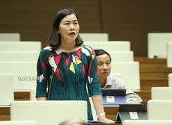 Giá thịt lợn cao ngất ngưởng: Đại biểu Quốc hội quy trách nhiệm cho 2 bộ