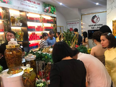 Sâm Bố Chính Quảng Bình ra mắt người dân Thủ đô