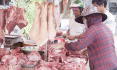 Giá thịt lợn hơi giảm về 90.000 đồng/kg