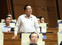 Thịt lợn đắt, Bộ trưởng Nông nghiệp khuyên dân ăn thịt gà: ĐBQH không đồng tình