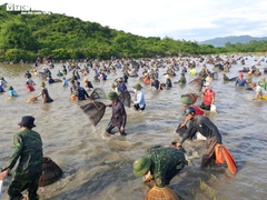 Hàng trăm người dân Hà Tĩnh đội nắng, lao xuống đầm Vực tìm vận may