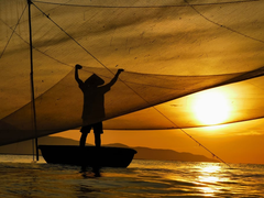 Trải nghiệm Hội An – thành phố quyến rũ nhất thế giới