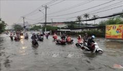 Sau mưa lớn kèm giông lốc, TPHCM thiệt hại lớn