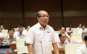 ĐBQH: 'Nhiều cán bộ có biệt phủ, xe sang, đi lên từ đất, lụi tàn cũng vì đất'