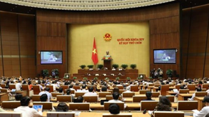 TRỰC TIẾP: Quốc hội thảo luận về kinh tế - xã hội, ngân sách Nhà nước