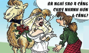 Cưỡi ngựa sao nhanh bằng dắt bộ