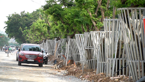 Vì sao hàng sưa đỏ được lắp 'áo ráp sắt' và camera giám sát?