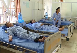 Ăn bọ xít, 19 anh em họ hàng bị ngộ độc 