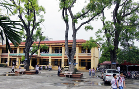 Trường học, bệnh viện tại Hà Nội muốn chặt, tỉa cây xanh phải làm đơn