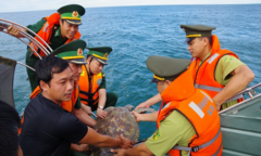 Bộ đội Biên phòng Hà Tĩnh thả con đồi mồi quý hiếm về biển