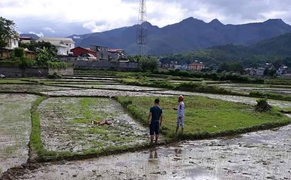 Khẩn trương điều tra thảm án 3 người chết ở Điện Biên