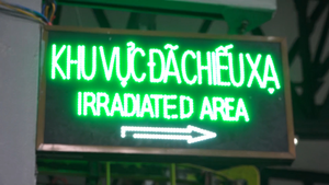 Quy trình chiếu xạ vải thiều xuất khẩu như thế nào?