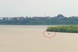 Chiều nay trục vớt quả bom nằm gần cầu Long Biên