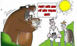 Nhân viên cứu hộ 'có tâm'