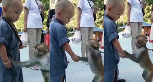 Khỉ an ủi tiểu hòa thượng đeo lắc bạc vì tưởng đó là xiềng sắt giống mình đeo