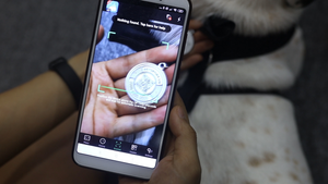 'Chứng minh thư' điện tử dành cho thú cưng được sử dụng thế nào?